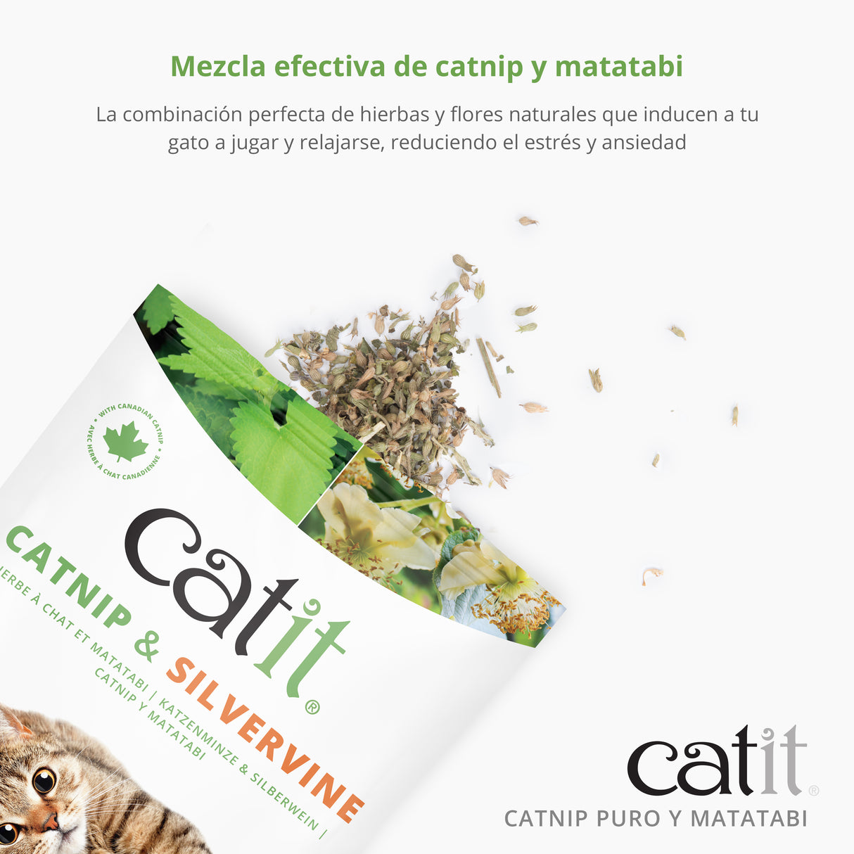 Mezcla de Catnip y Matatabi secos para gatos Catit