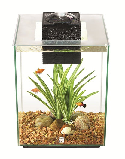 Nano acuario de diseño Fluval Chi