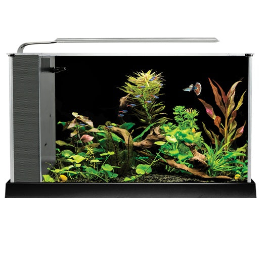 Nano acuario de diseño Fluval Spec de 19L