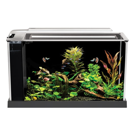 Nano acuario de diseño Fluval Spec de 19L