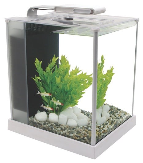 Nano acuario de diseño Fluval Spec de 10L