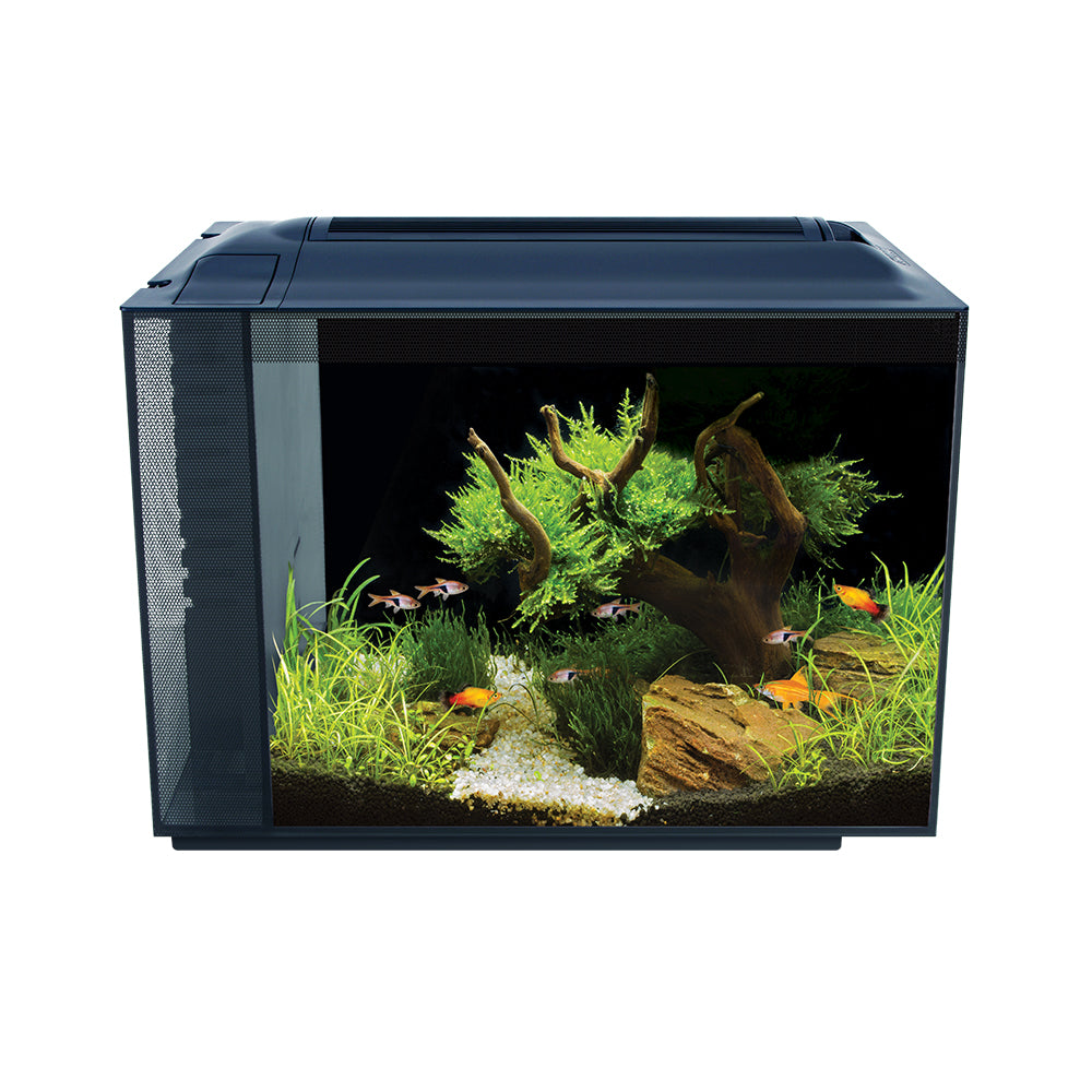 Nano acuario de diseño Fluval Spec de 10L