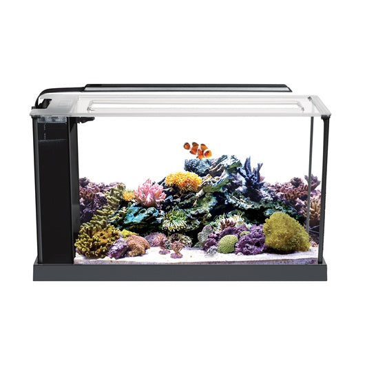 Acuario marino de diseño Fluval Evo