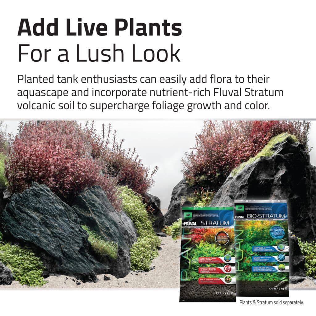 Kit de piedras y grava para acuascaping Fluval - Negro