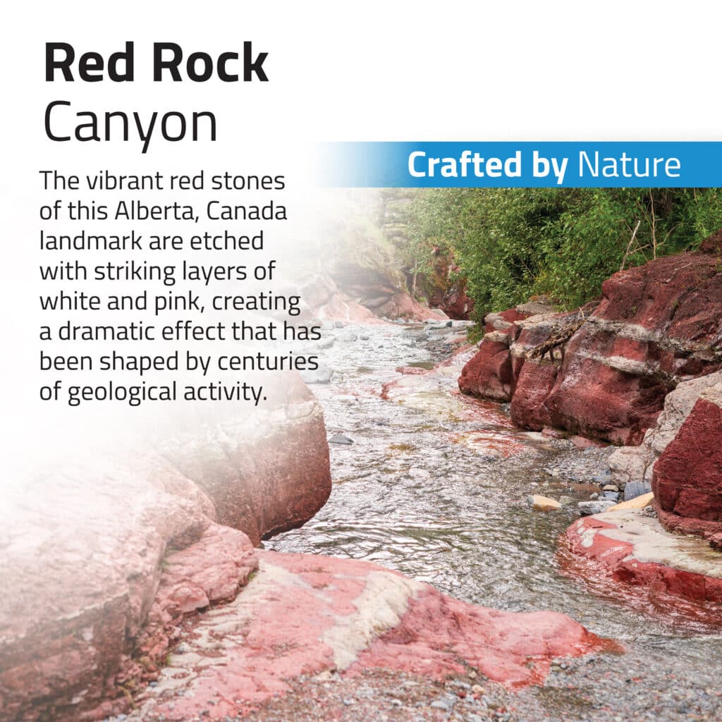 Kit de piedras y grava para acuascaping Fluval - Rojo