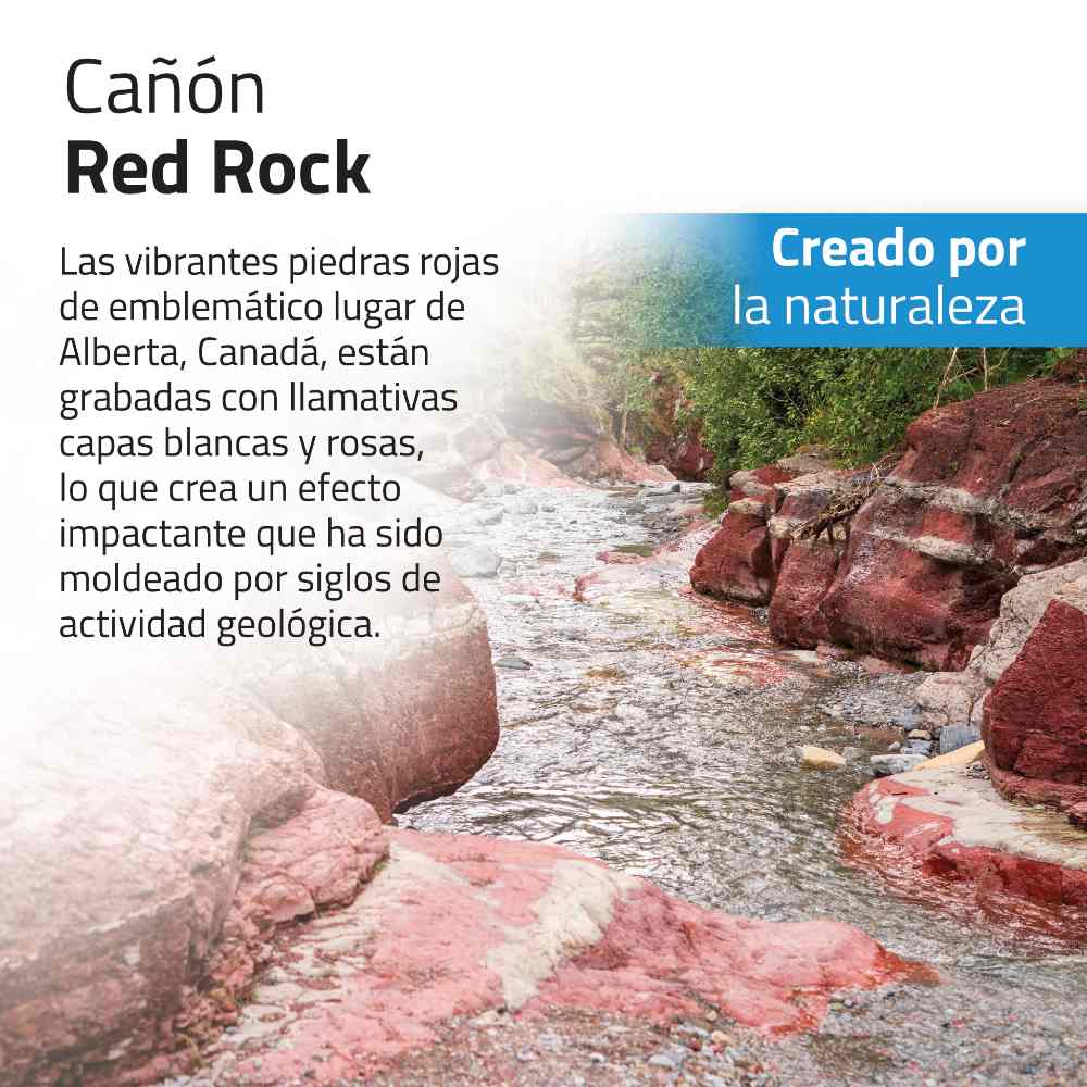 Kit de piedras y grava para acuascaping Fluval - Rojo
