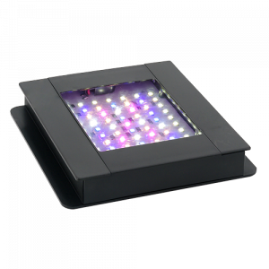 Pantallas de iluminación con bluetooth para acuarios Fluval Plant Spectrum