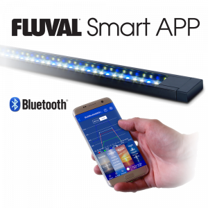 Acuario de agua dulce de diseño Fluval Flex de 123L