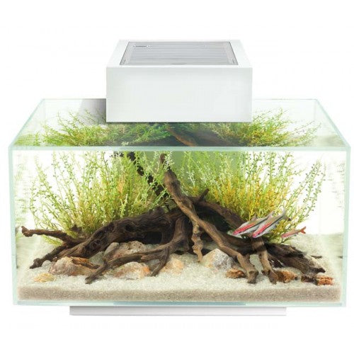 Acuario Fluval Edge de 23L