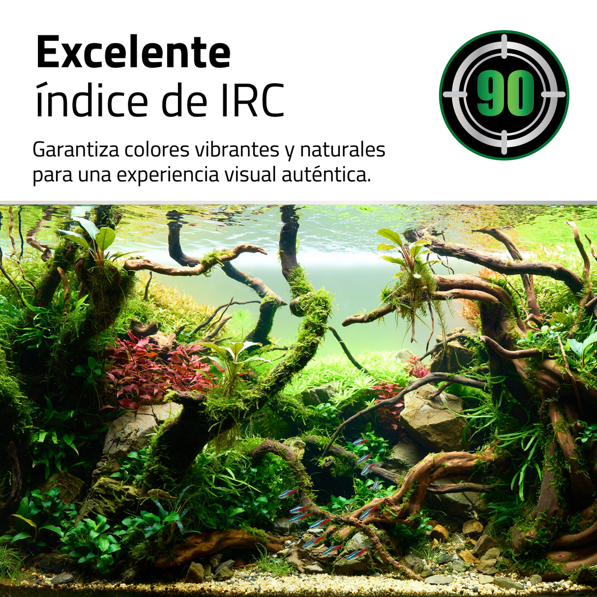 Pantalla Fluval LED Plant 4.0