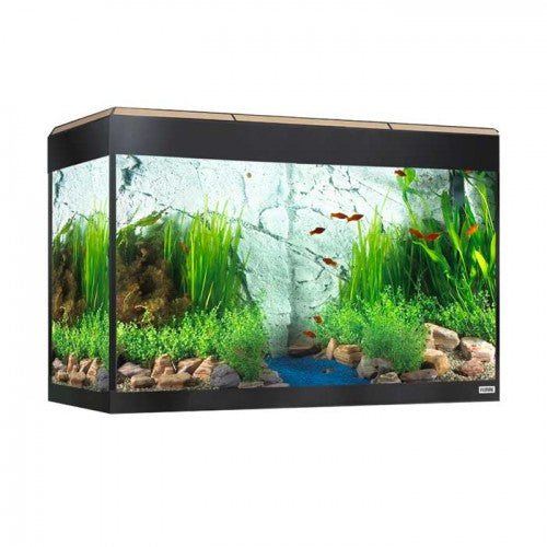 Acuario con iluminación LED bluetooth Fluval Roma de 125L