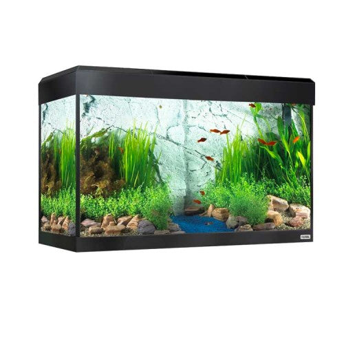 Acuario con iluminación LED bluetooth Fluval Roma de 125L