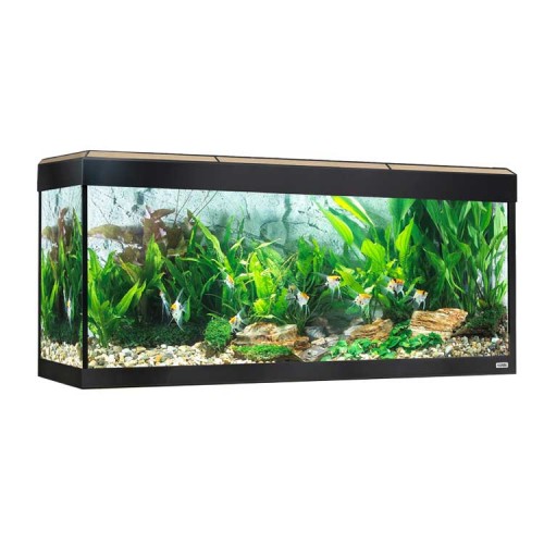 Acuario con iluminación LED bluetooth Fluval Roma de 125L