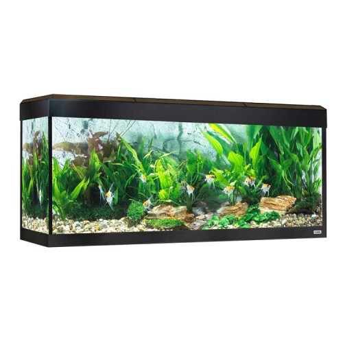Acuario con iluminación LED bluetooth Fluval Roma de 125L