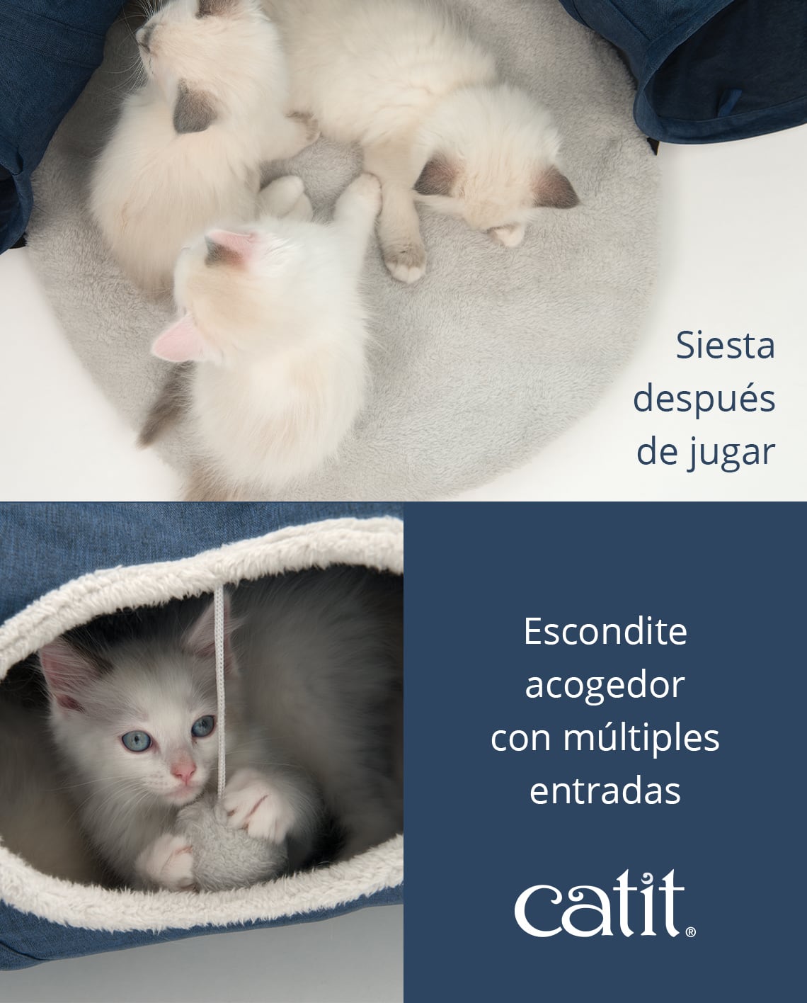 Túnel para gatos con cojín Catit Vesper Tunnel