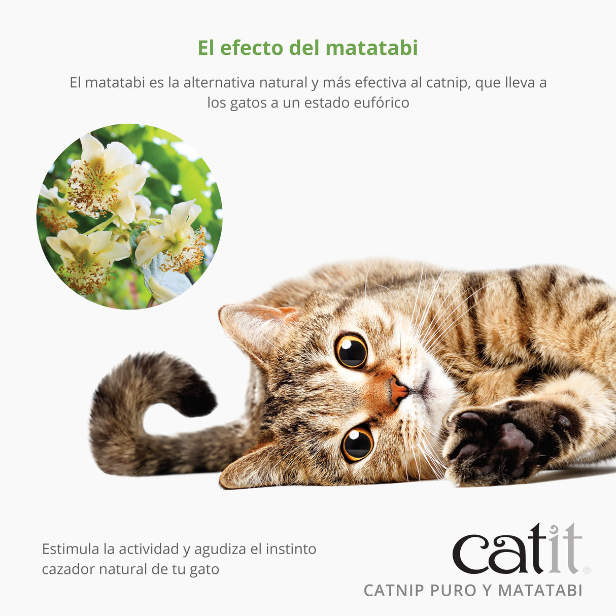 Mezcla de Catnip y Matatabi secos para gatos Catit
