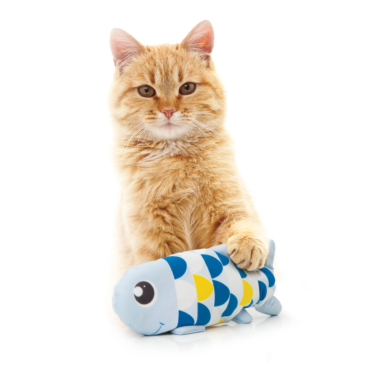 Animales bailarines de juguete para gatos Catit Groovy