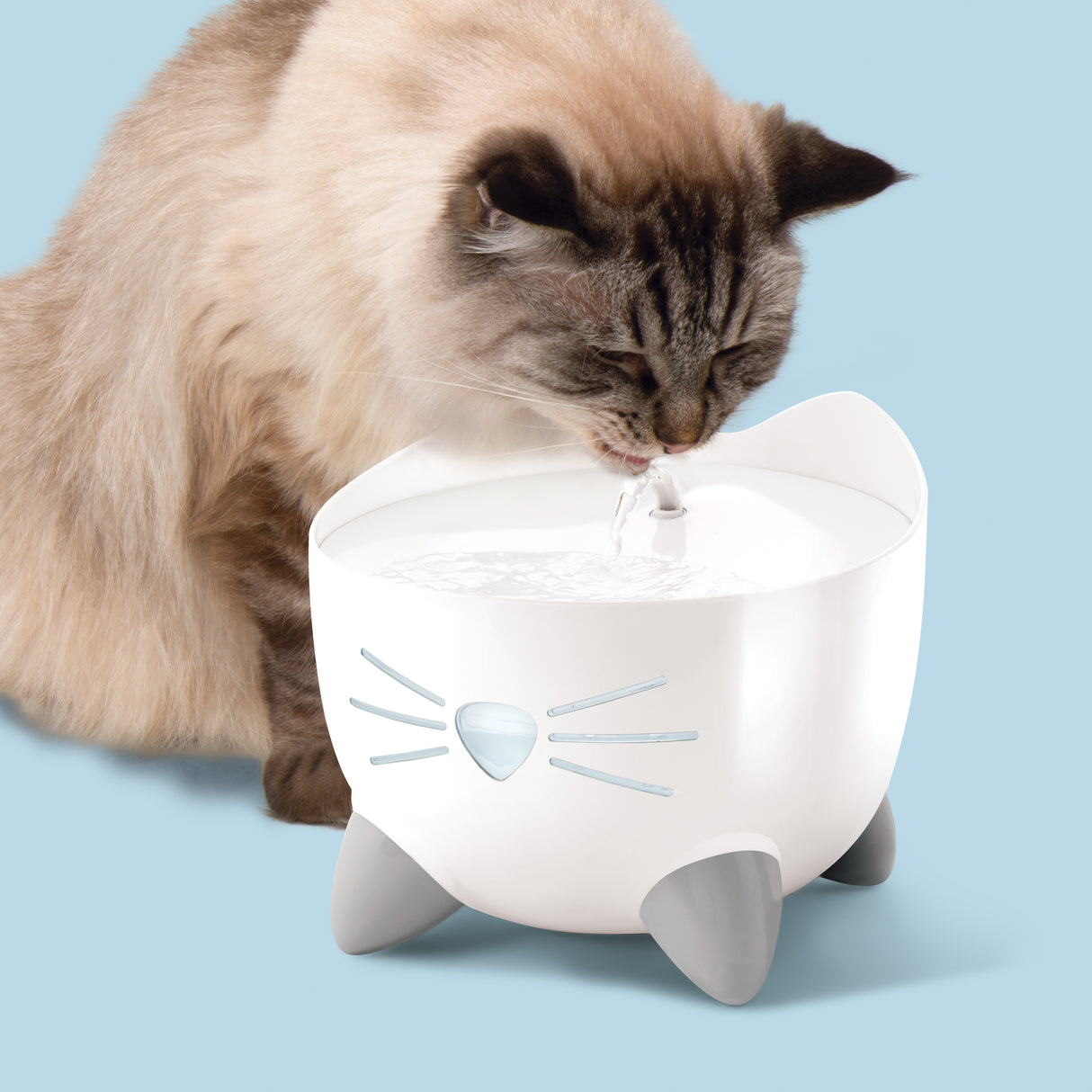 Combo de fuente y comedero para gatos Catit PIXI