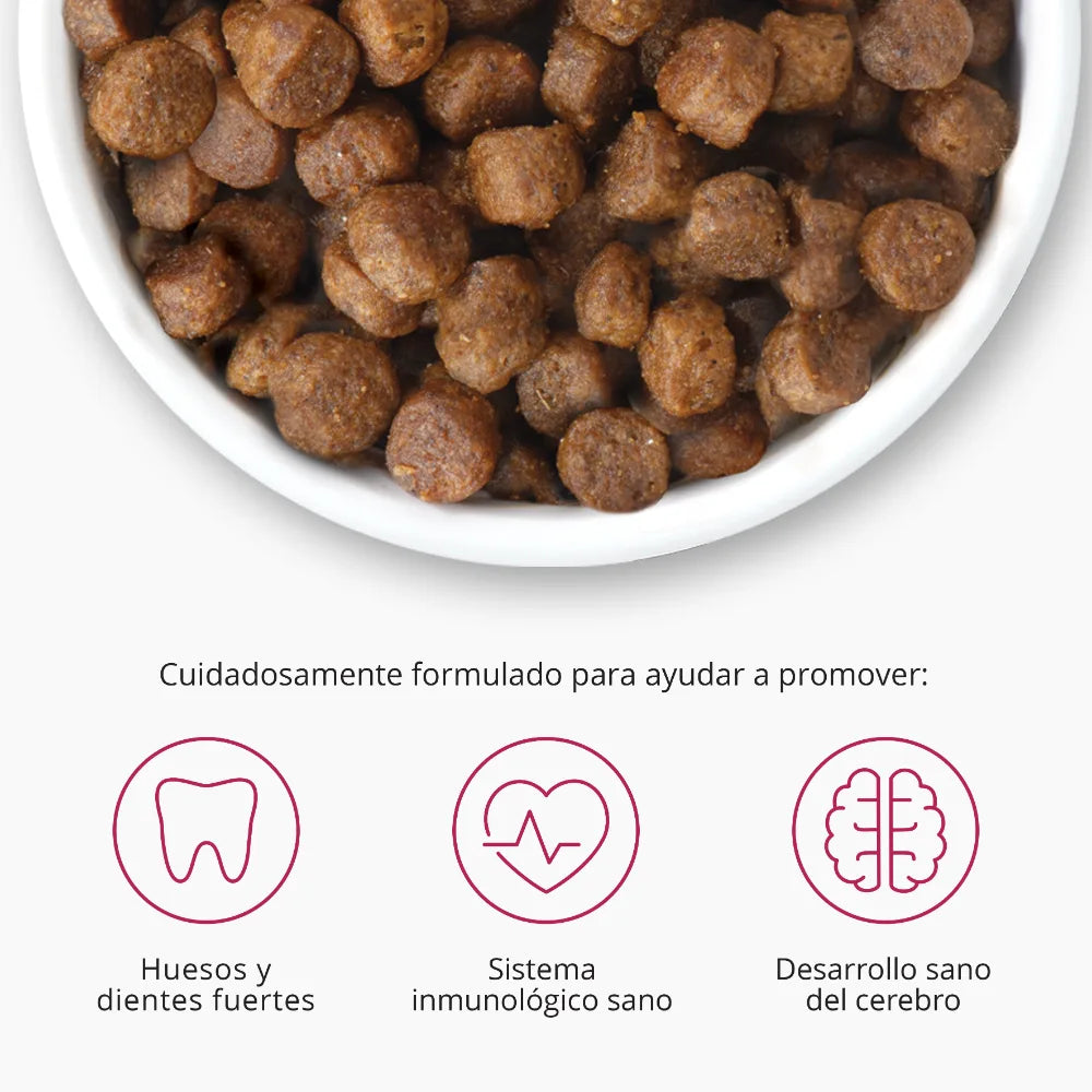 Pienso para gatito junior Catit Recipes - Receta de Aves para KITTEN