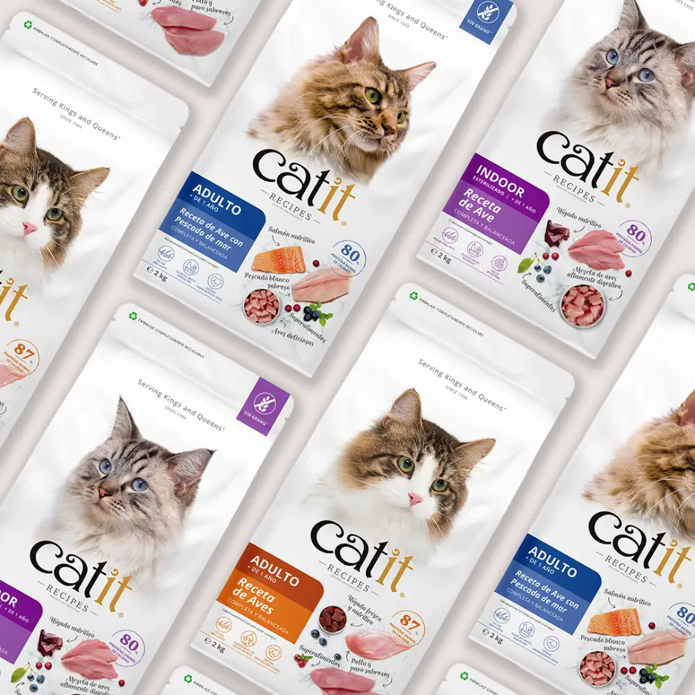 Pienso para gatos quisquillosos Catit Recipes - Receta de Aves para ADULTO