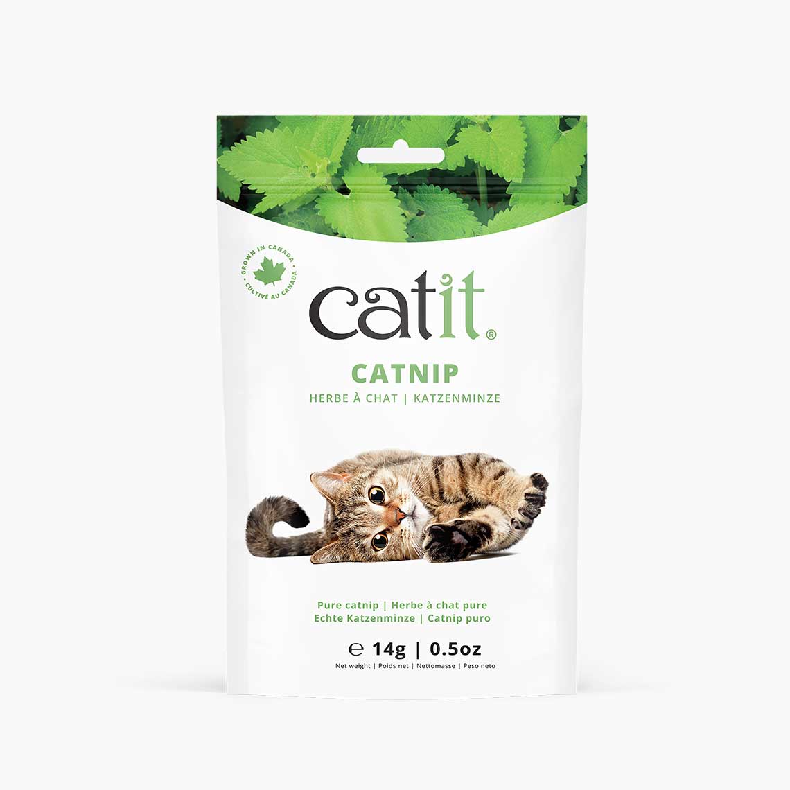Catnip seco para gatos Catit