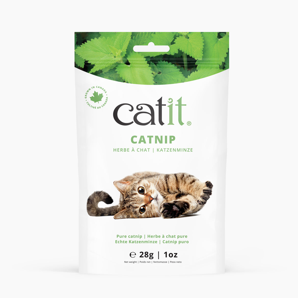 Catnip seco para gatos Catit