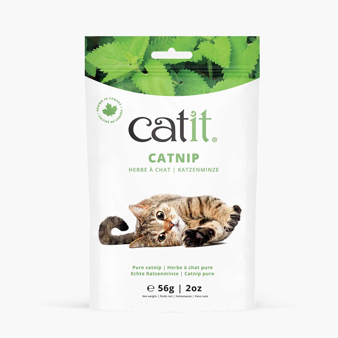 Catnip seco para gatos Catit