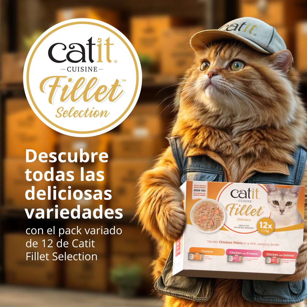 Pollo desmenuzado para gatos Catit Cuisine Fillet