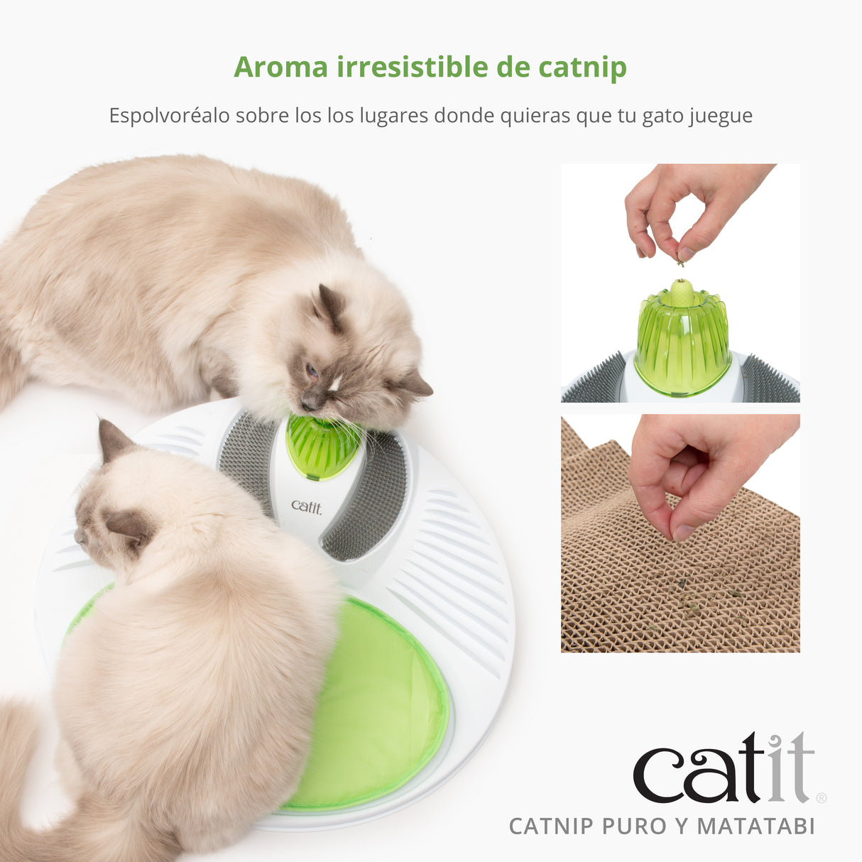 Mezcla de Catnip y Matatabi secos para gatos Catit
