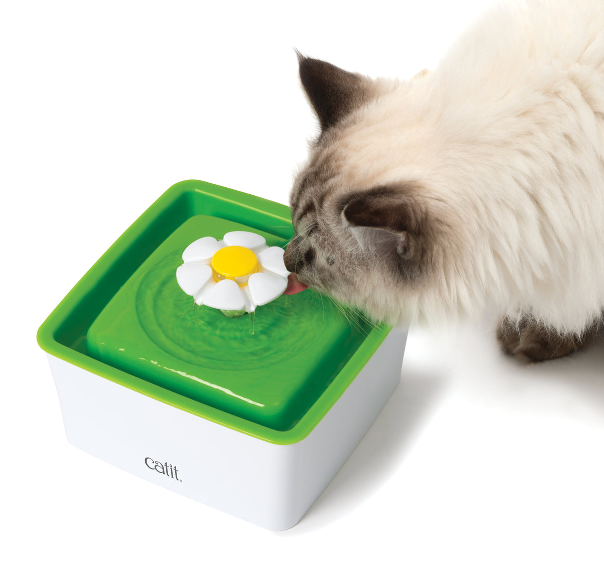Fuente para gatos Catit Mini Flower Fountain