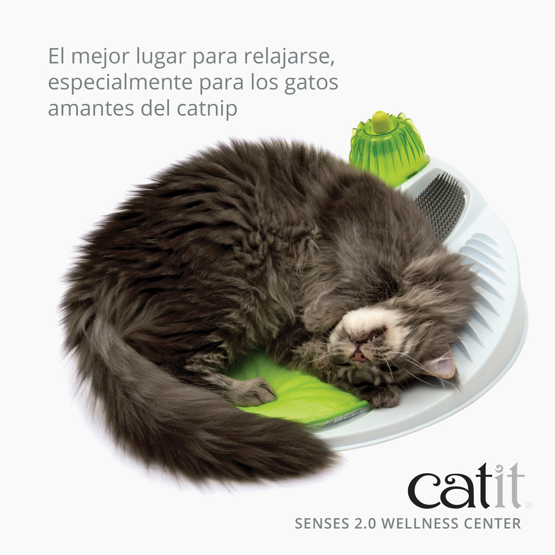Juguete de relajación para gatos con catnip Catit Senses Wellness Center