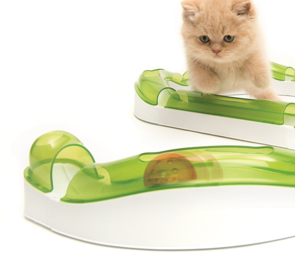 Circuitos con pelota para gatos Catit Senses