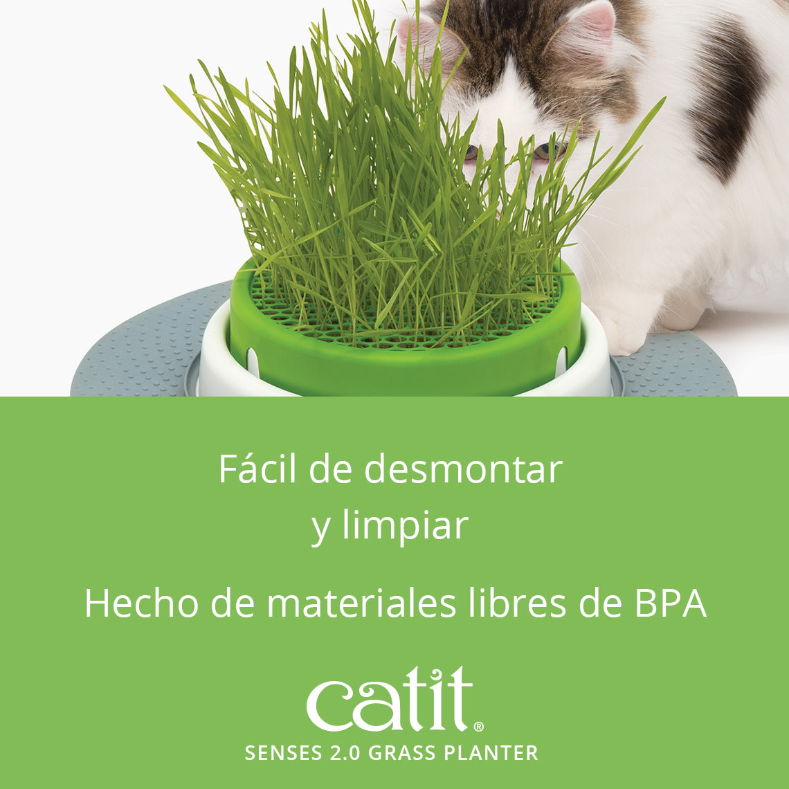 Germinador de Hierba Gatera Catit Senses