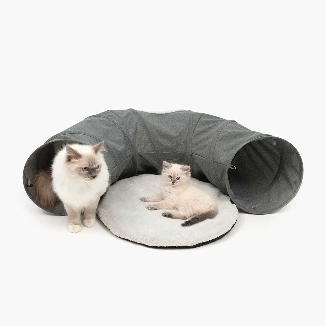 Túnel para gatos con cojín Catit Vesper Tunnel