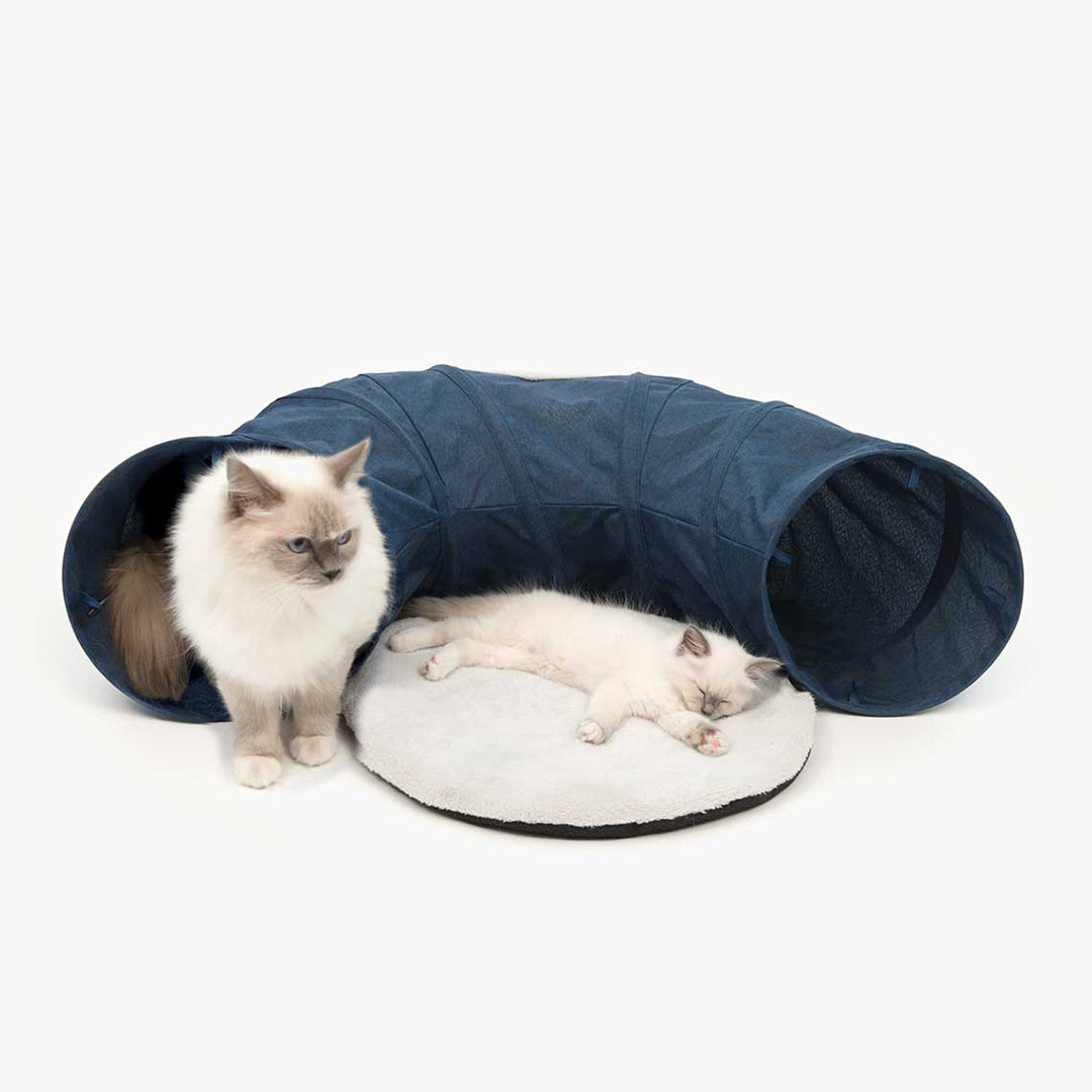 Túnel para gatos con cojín Catit Vesper Tunnel