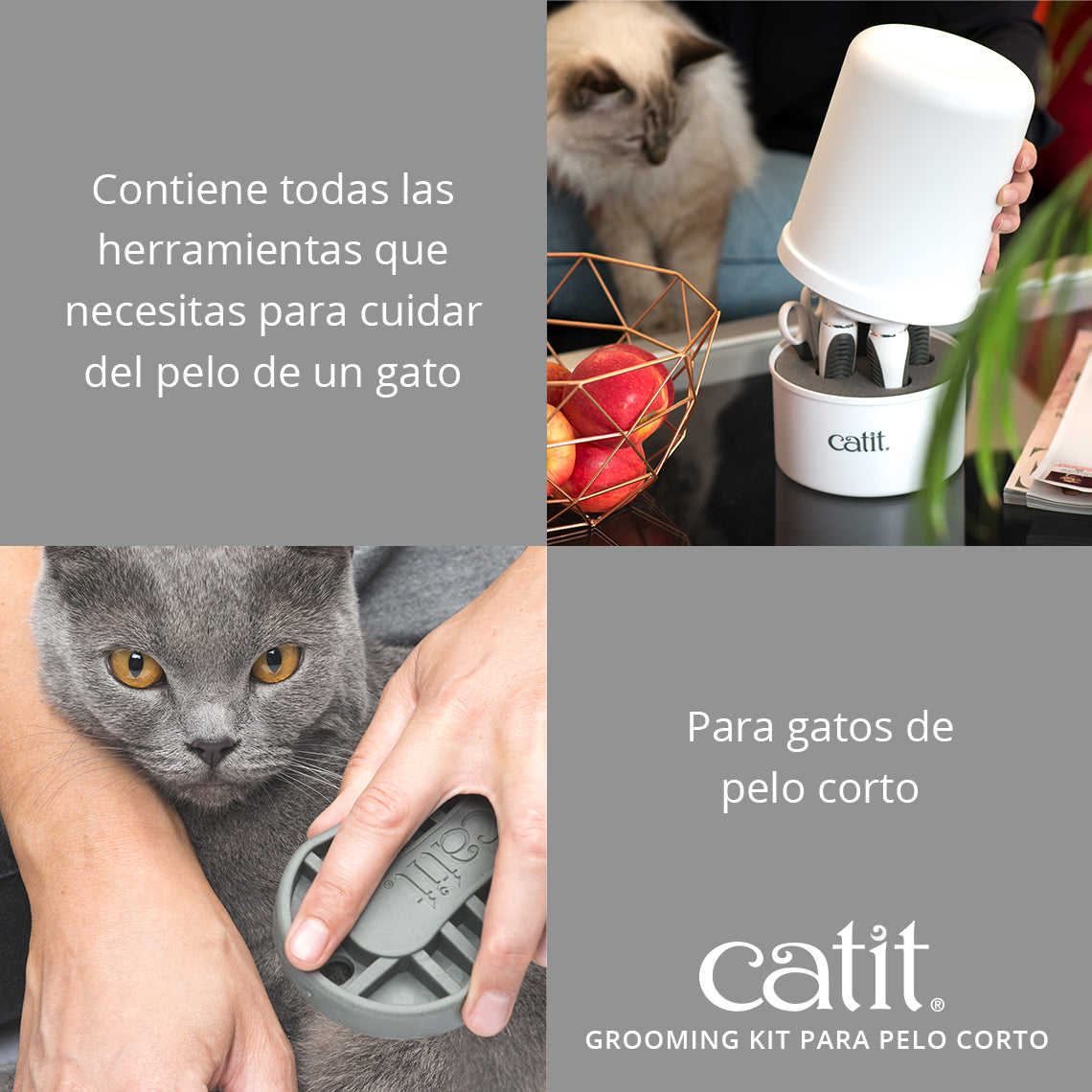 Kit de peluquería Catit Grooming Kit