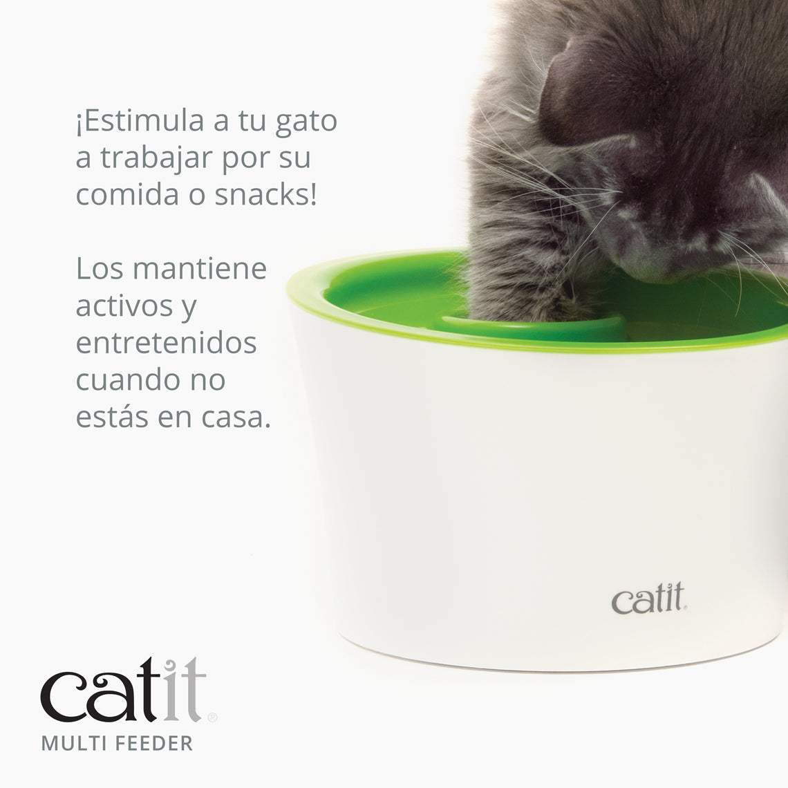 Comedero antivoracidad para gatos Catit Multi Feeder