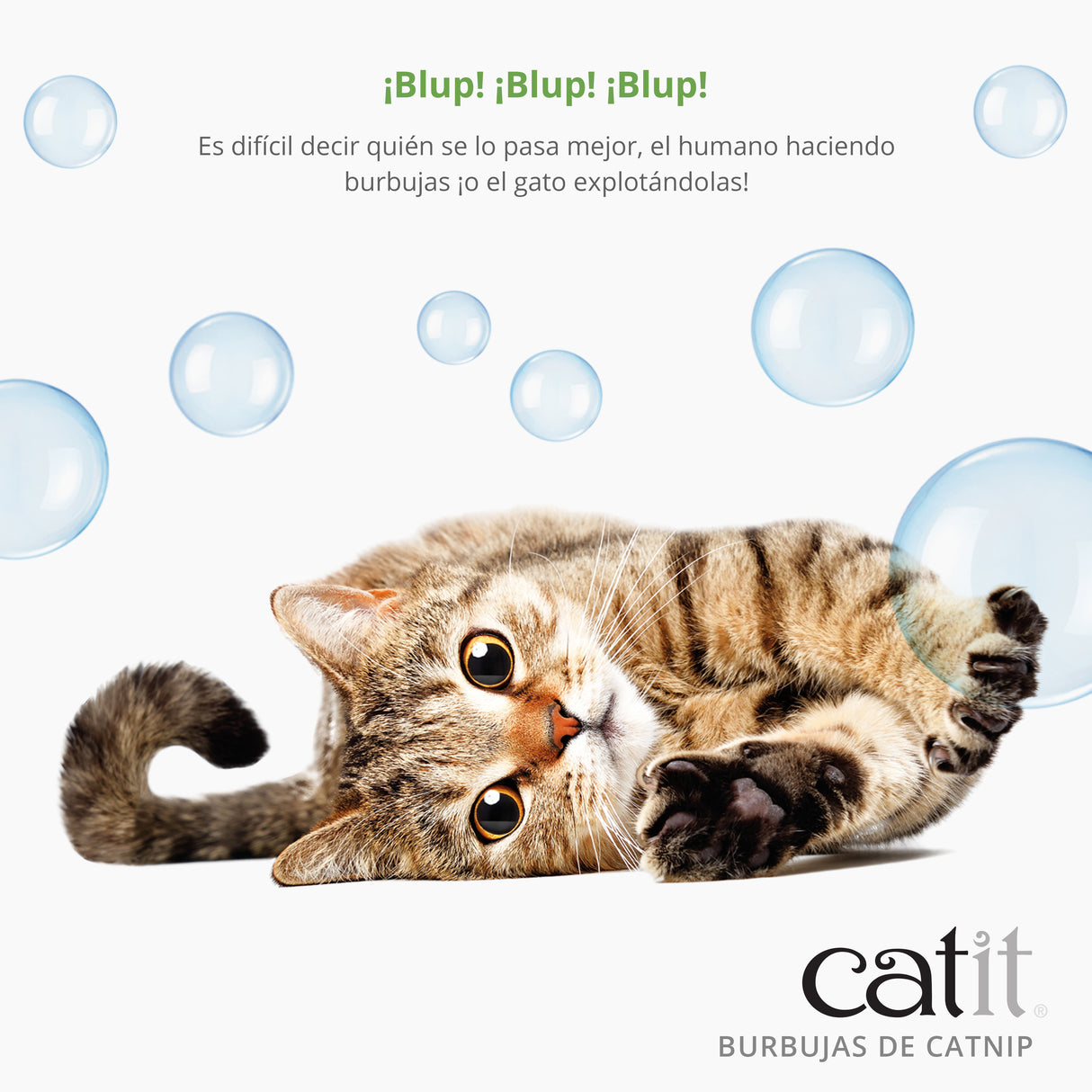 Catnip en Burbujas para gatos Catit