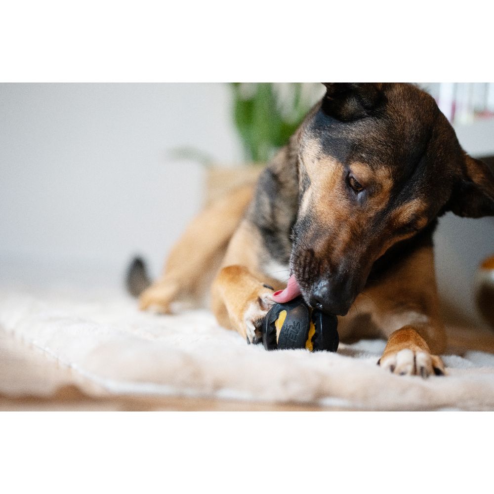 Zeus ChewChasers Pelota, Ø7,5cm