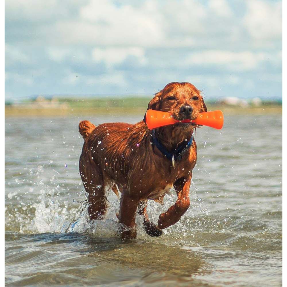 Juguetes ultra resistentes para perros BIONIC Urban Stick