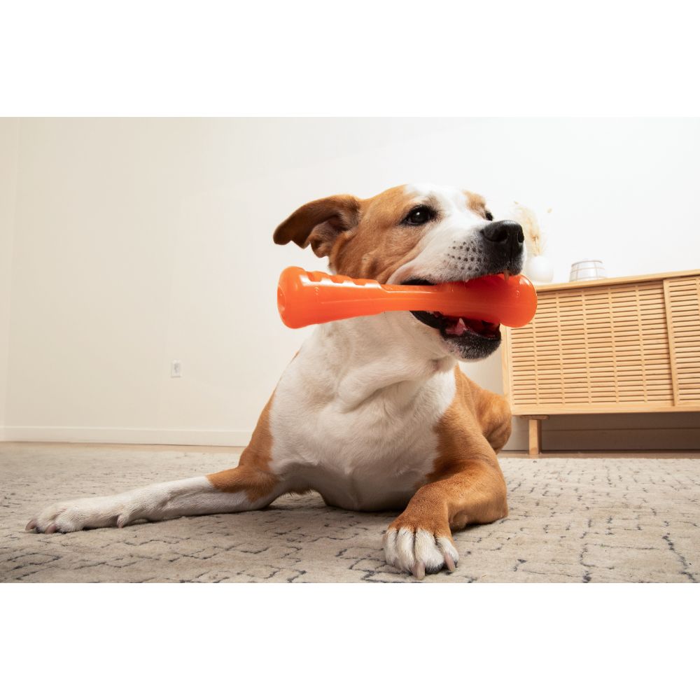 Juguetes ultra resistentes para perros BIONIC Urban Stick