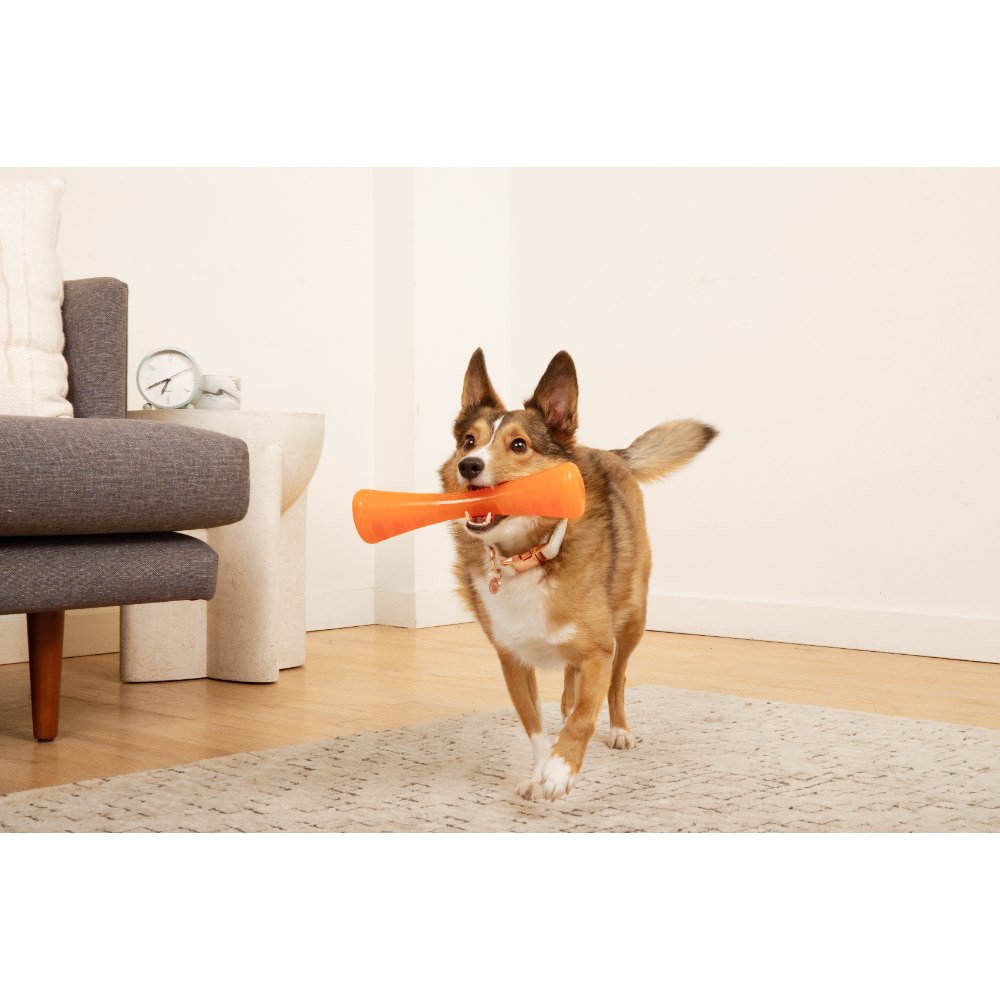 Juguetes ultra resistentes para perros BIONIC Urban Stick