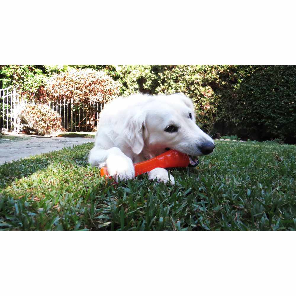 Juguetes ultra resistentes para perros BIONIC Urban Stick