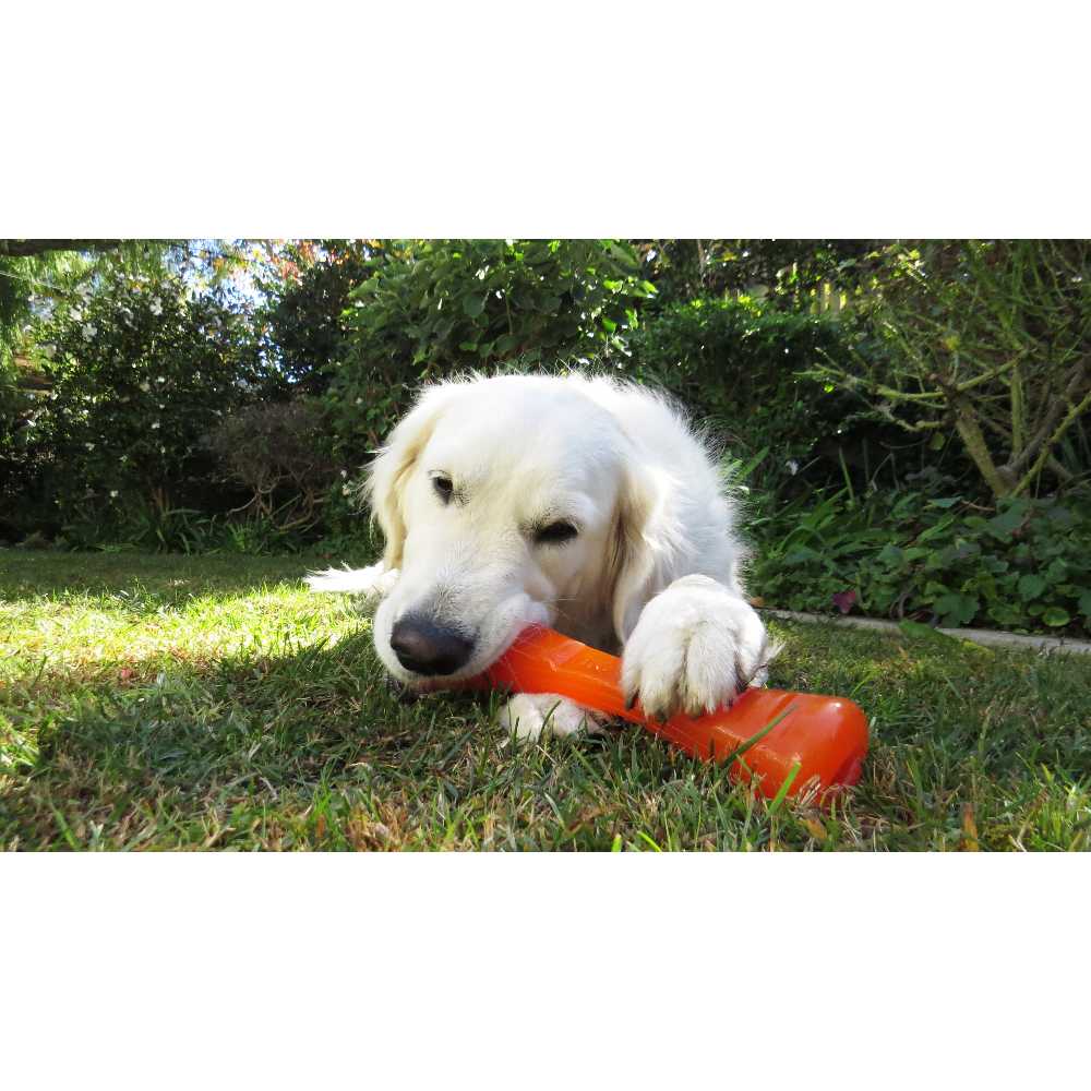 Juguetes ultra resistentes para perros BIONIC Urban Stick