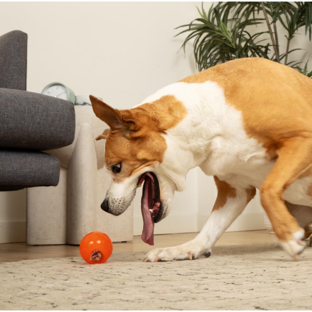 Juguetes ultra resistentes para perros BIONIC Pelota
