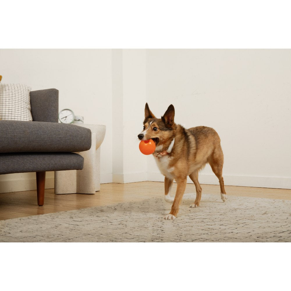 Juguetes ultra resistentes para perros BIONIC Pelota