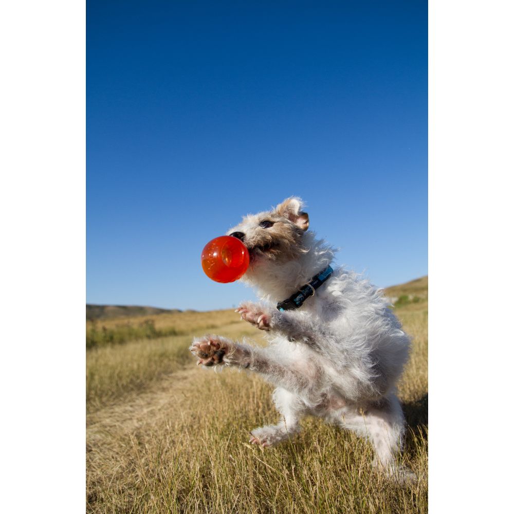 Juguetes ultra resistentes para perros BIONIC Pelota