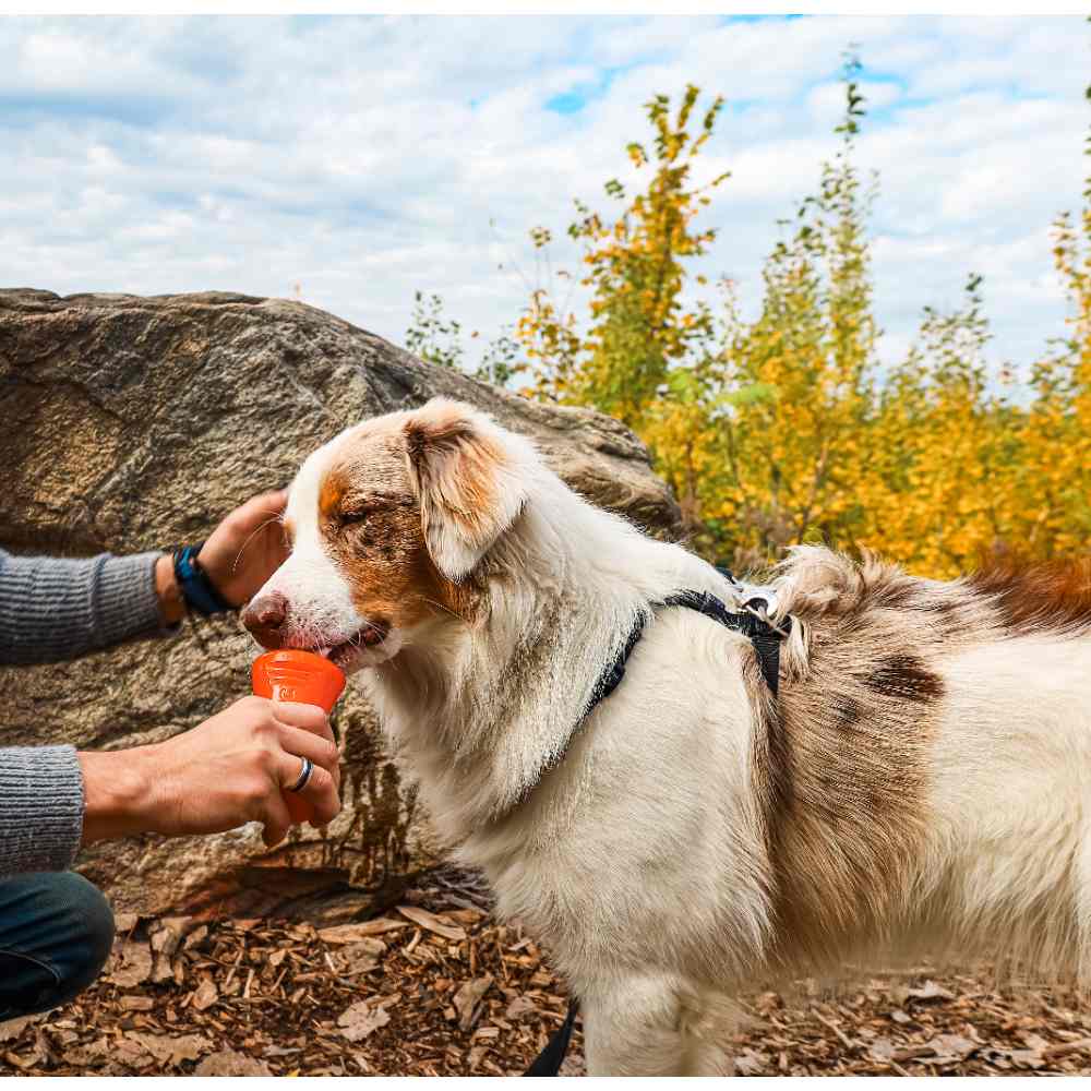 Juguetes ultra resistentes para perros BIONIC Hueso