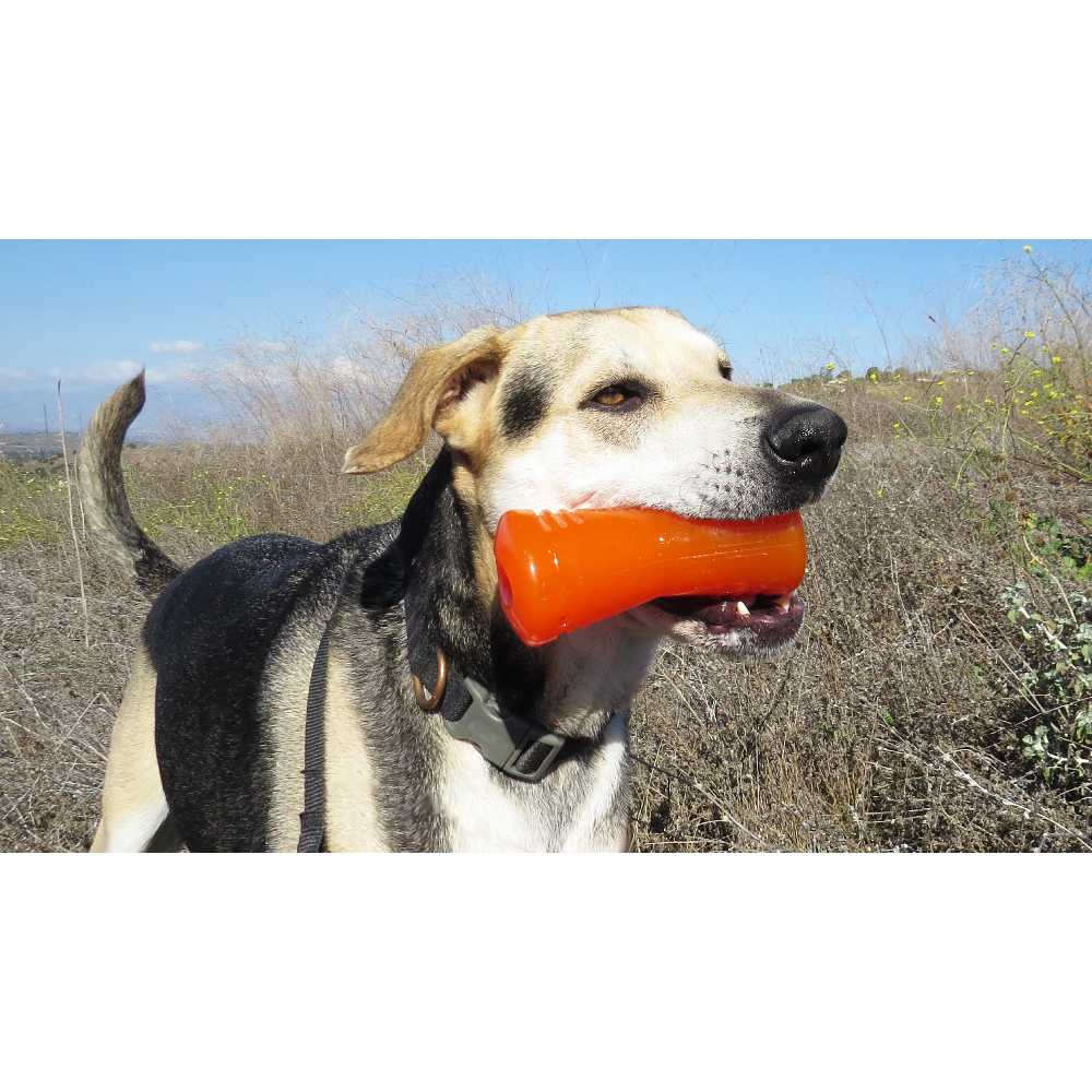 Juguetes ultra resistentes para perros BIONIC Hueso