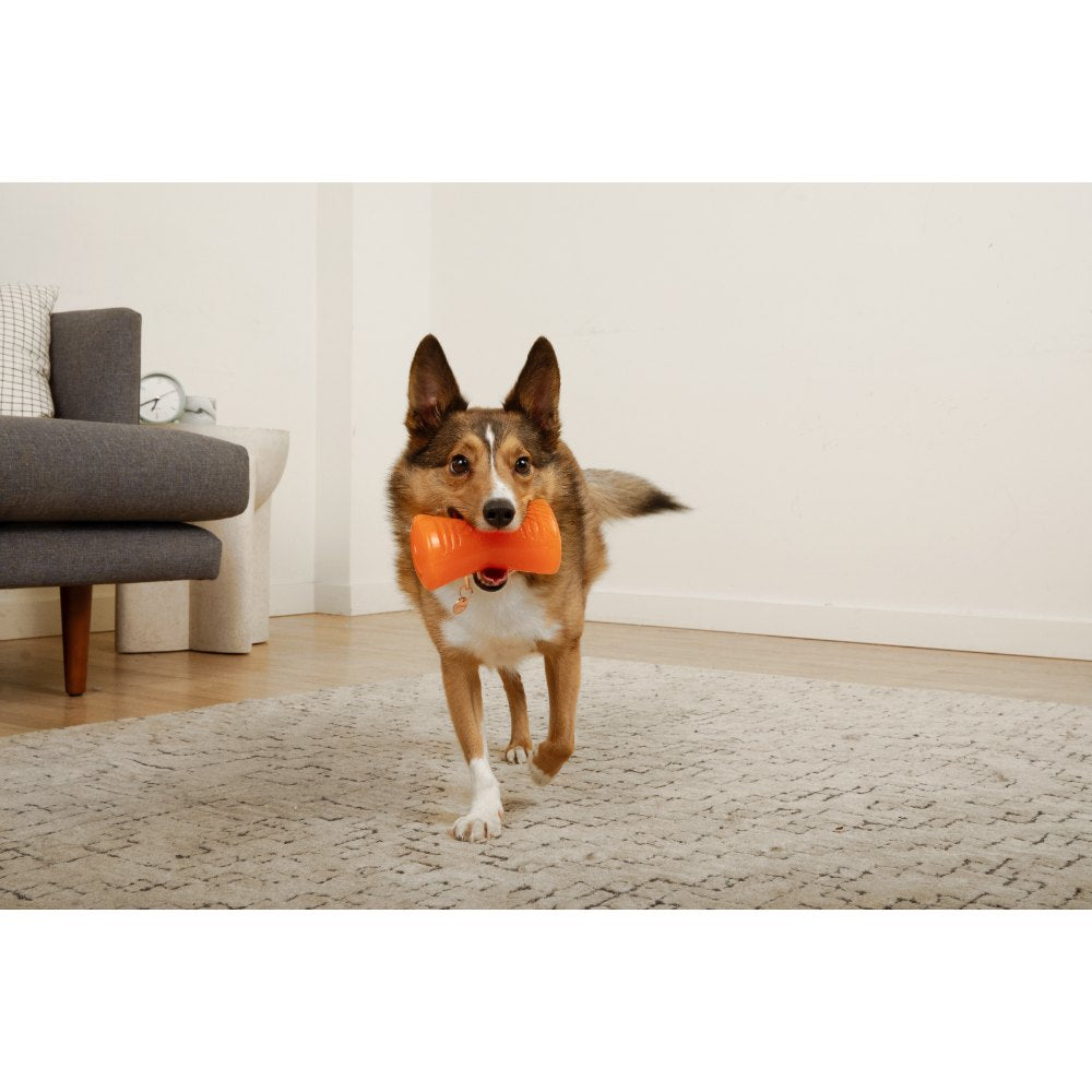 Juguetes ultra resistentes para perros BIONIC Hueso